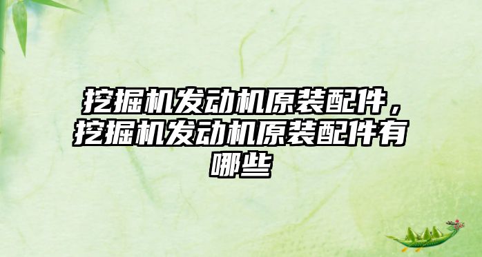 挖掘機發(fā)動機原裝配件，挖掘機發(fā)動機原裝配件有哪些