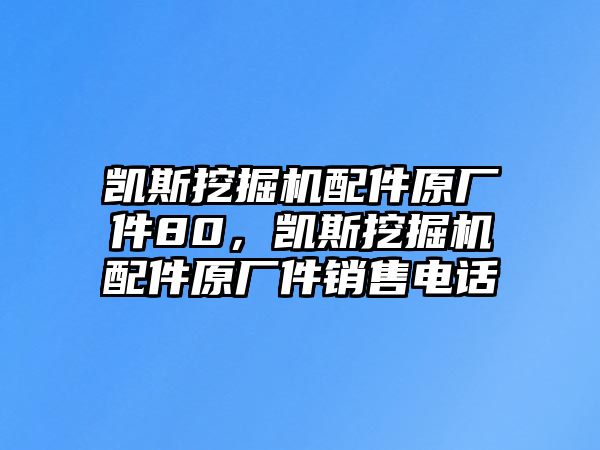 凱斯挖掘機(jī)配件原廠件80，凱斯挖掘機(jī)配件原廠件銷售電話