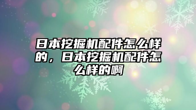 日本挖掘機(jī)配件怎么樣的，日本挖掘機(jī)配件怎么樣的啊