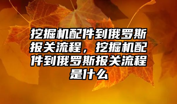 挖掘機配件到俄羅斯報關(guān)流程，挖掘機配件到俄羅斯報關(guān)流程是什么