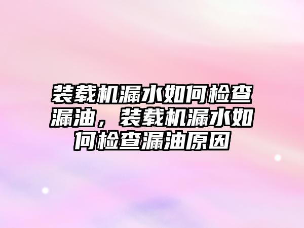 裝載機漏水如何檢查漏油，裝載機漏水如何檢查漏油原因