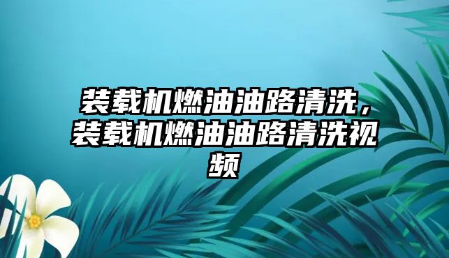 裝載機燃油油路清洗，裝載機燃油油路清洗視頻