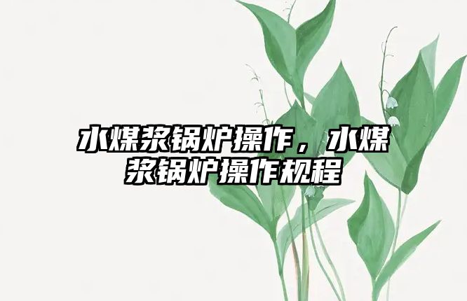 水煤漿鍋爐操作，水煤漿鍋爐操作規(guī)程