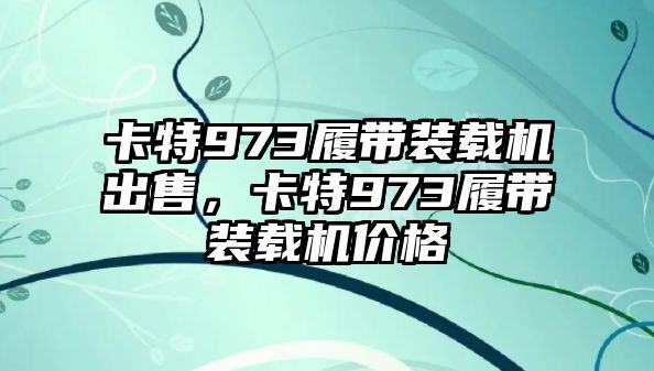 卡特973履帶裝載機(jī)出售，卡特973履帶裝載機(jī)價(jià)格