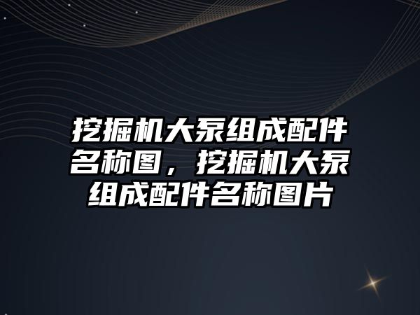 挖掘機(jī)大泵組成配件名稱圖，挖掘機(jī)大泵組成配件名稱圖片