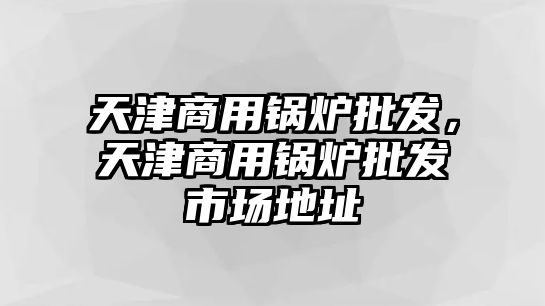 天津商用鍋爐批發(fā)，天津商用鍋爐批發(fā)市場地址