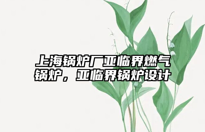 上海鍋爐廠亞臨界燃?xì)忮仩t，亞臨界鍋爐設(shè)計(jì)