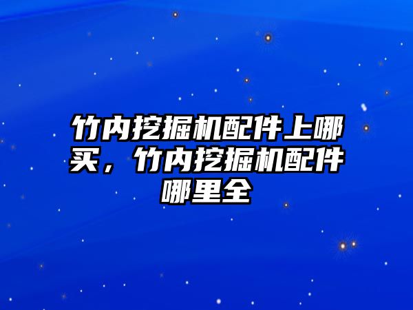 竹內(nèi)挖掘機配件上哪買，竹內(nèi)挖掘機配件哪里全