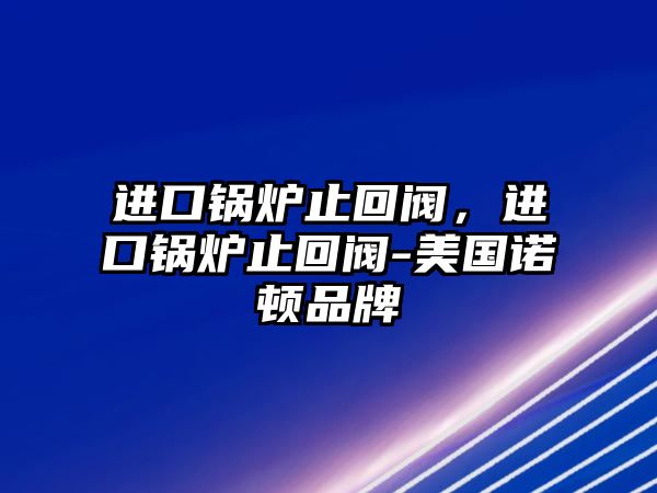 進(jìn)口鍋爐止回閥，進(jìn)口鍋爐止回閥-美國諾頓品牌