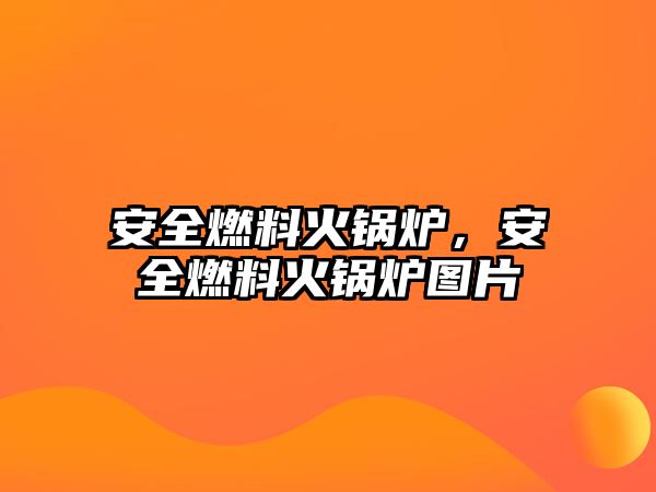 安全燃料火鍋爐，安全燃料火鍋爐圖片