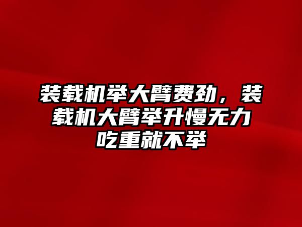 裝載機(jī)舉大臂費(fèi)勁，裝載機(jī)大臂舉升慢無力吃重就不舉