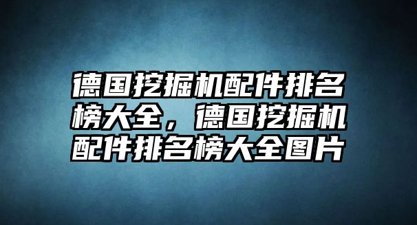 德國挖掘機(jī)配件排名榜大全，德國挖掘機(jī)配件排名榜大全圖片