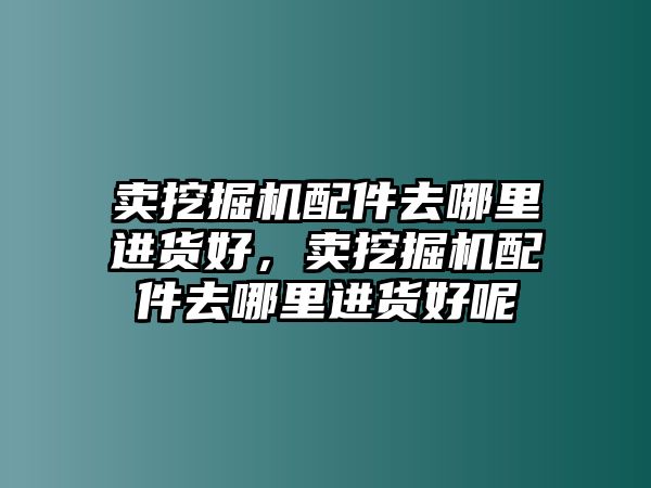 賣(mài)挖掘機(jī)配件去哪里進(jìn)貨好，賣(mài)挖掘機(jī)配件去哪里進(jìn)貨好呢