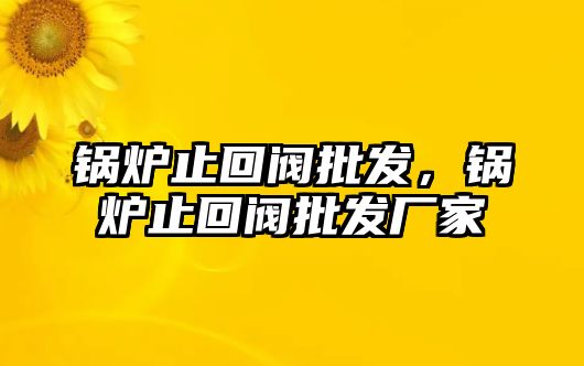 鍋爐止回閥批發(fā)，鍋爐止回閥批發(fā)廠家