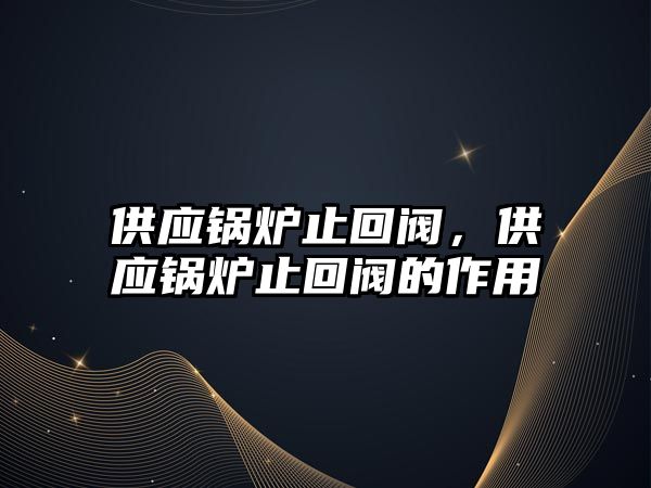 供應(yīng)鍋爐止回閥，供應(yīng)鍋爐止回閥的作用