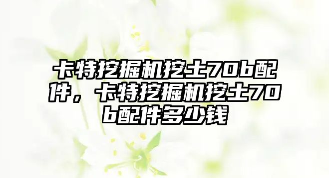 卡特挖掘機(jī)挖土70b配件，卡特挖掘機(jī)挖土70b配件多少錢(qián)