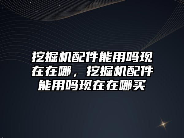 挖掘機配件能用嗎現(xiàn)在在哪，挖掘機配件能用嗎現(xiàn)在在哪買