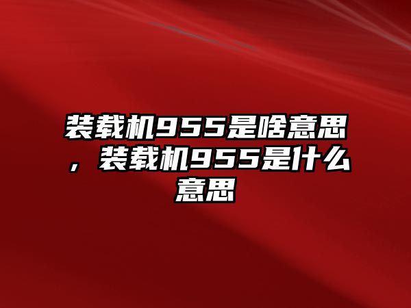 裝載機955是啥意思，裝載機955是什么意思