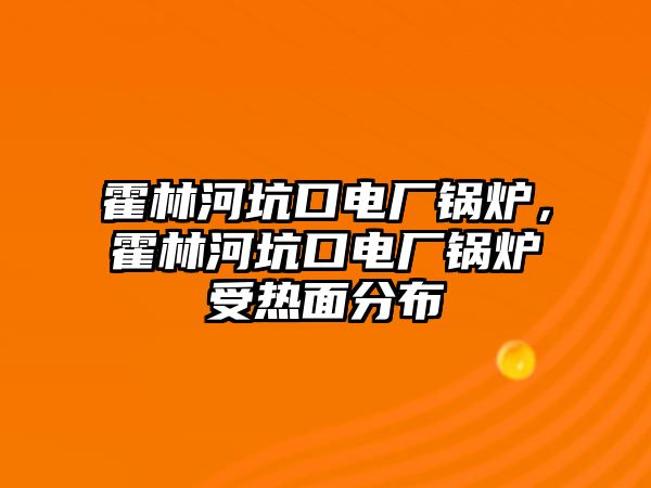 霍林河坑口電廠鍋爐，霍林河坑口電廠鍋爐受熱面分布