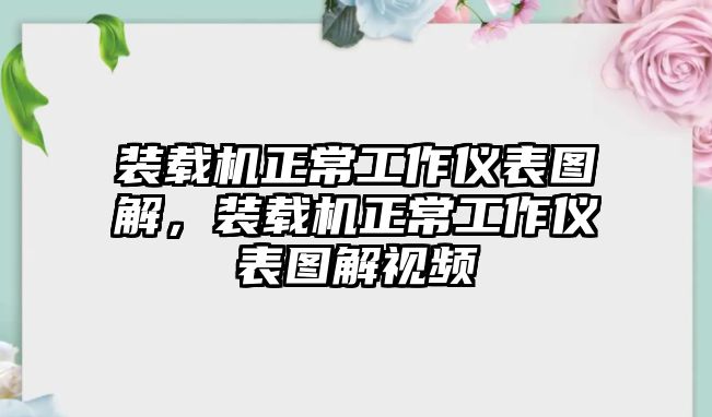 裝載機正常工作儀表圖解，裝載機正常工作儀表圖解視頻