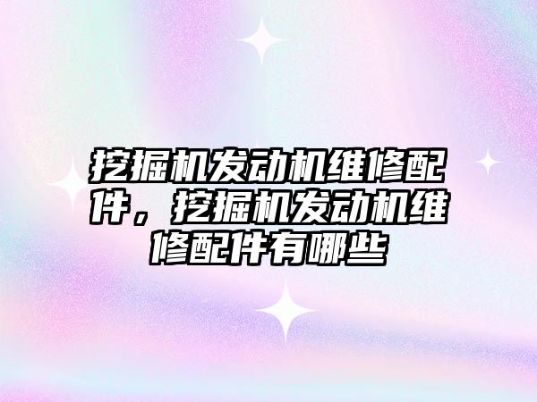 挖掘機發(fā)動機維修配件，挖掘機發(fā)動機維修配件有哪些