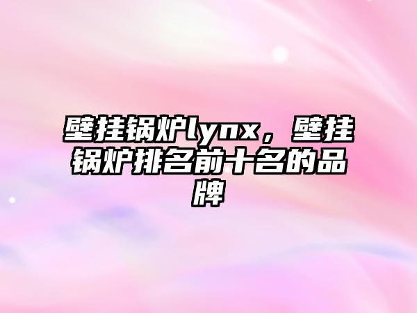 壁掛鍋爐lynx，壁掛鍋爐排名前十名的品牌