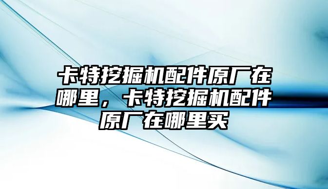 卡特挖掘機配件原廠在哪里，卡特挖掘機配件原廠在哪里買