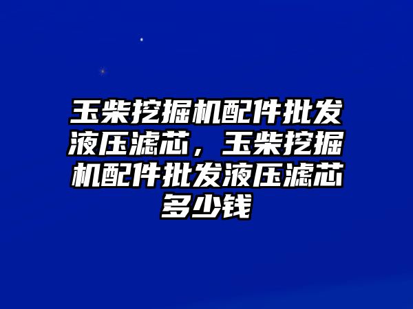 玉柴挖掘機配件批發(fā)液壓濾芯，玉柴挖掘機配件批發(fā)液壓濾芯多少錢