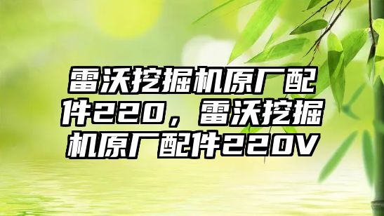 雷沃挖掘機原廠配件220，雷沃挖掘機原廠配件220V