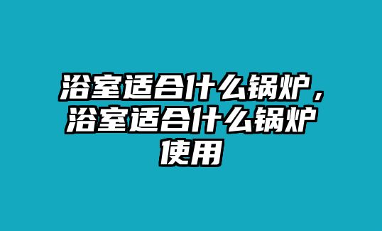 浴室適合什么鍋爐，浴室適合什么鍋爐使用