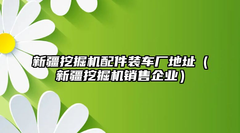 新疆挖掘機(jī)配件裝車廠地址（新疆挖掘機(jī)銷售企業(yè)）