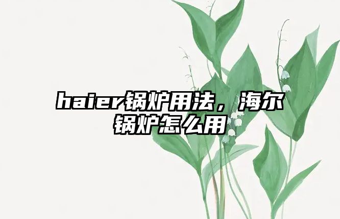 haier鍋爐用法，海爾鍋爐怎么用