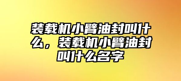 裝載機(jī)小臂油封叫什么，裝載機(jī)小臂油封叫什么名字