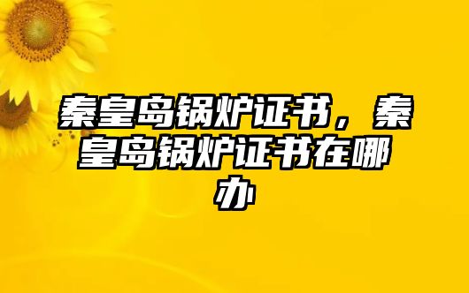 秦皇島鍋爐證書，秦皇島鍋爐證書在哪辦