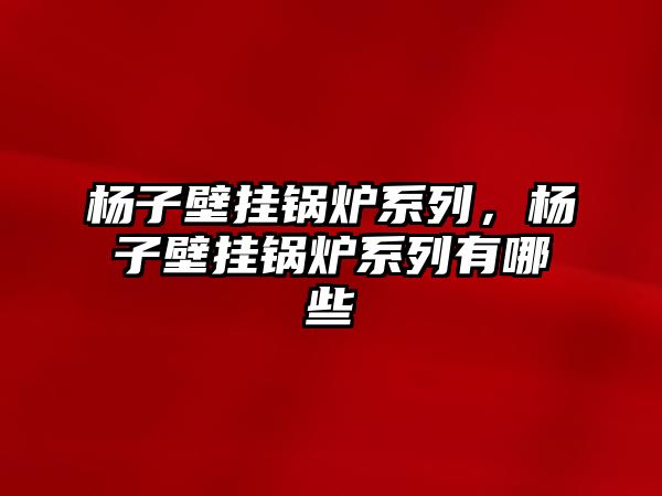 楊子壁掛鍋爐系列，楊子壁掛鍋爐系列有哪些