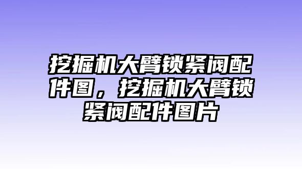 挖掘機大臂鎖緊閥配件圖，挖掘機大臂鎖緊閥配件圖片