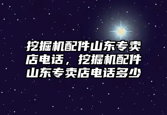 挖掘機(jī)配件山東專賣店電話，挖掘機(jī)配件山東專賣店電話多少