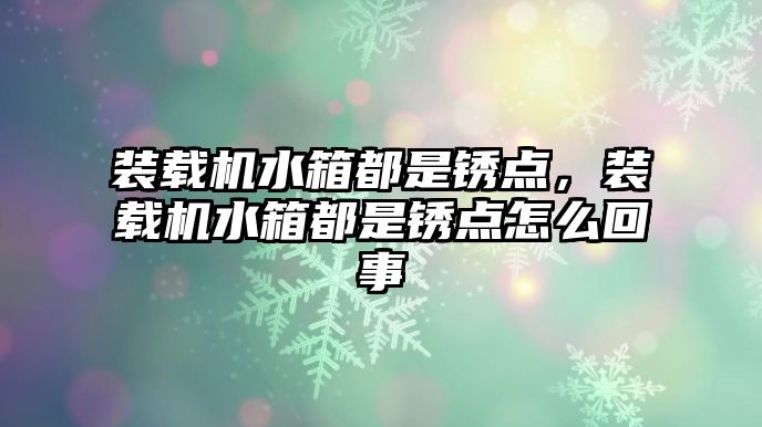 裝載機水箱都是銹點，裝載機水箱都是銹點怎么回事