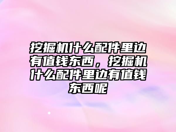 挖掘機(jī)什么配件里邊有值錢東西，挖掘機(jī)什么配件里邊有值錢東西呢