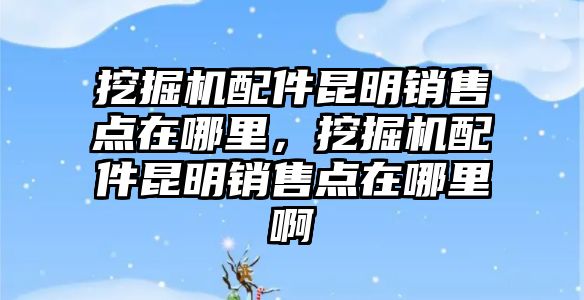 挖掘機配件昆明銷售點在哪里，挖掘機配件昆明銷售點在哪里啊