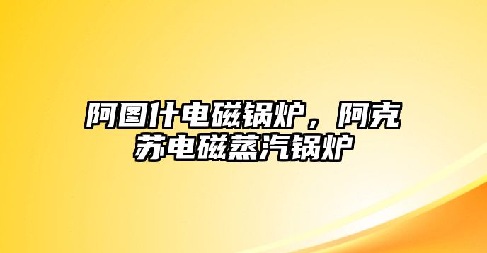 阿圖什電磁鍋爐，阿克蘇電磁蒸汽鍋爐