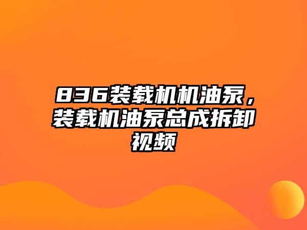 836裝載機機油泵，裝載機油泵總成拆卸視頻