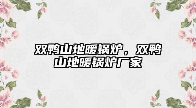 雙鴨山地暖鍋爐，雙鴨山地暖鍋爐廠家