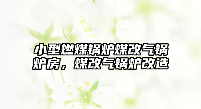 小型燃煤鍋爐煤改氣鍋爐房，煤改氣鍋爐改造