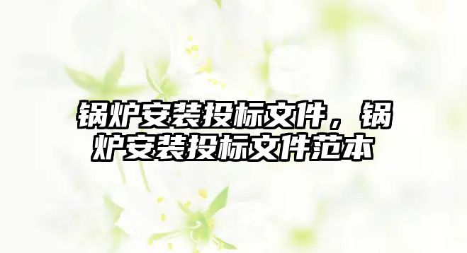 鍋爐安裝投標(biāo)文件，鍋爐安裝投標(biāo)文件范本