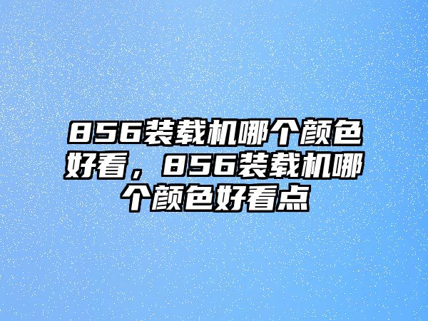 856裝載機(jī)哪個(gè)顏色好看，856裝載機(jī)哪個(gè)顏色好看點(diǎn)