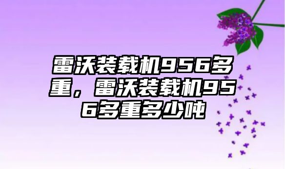 雷沃裝載機956多重，雷沃裝載機956多重多少噸