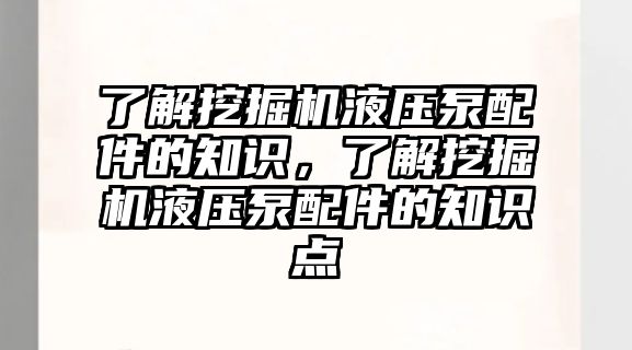 了解挖掘機液壓泵配件的知識，了解挖掘機液壓泵配件的知識點