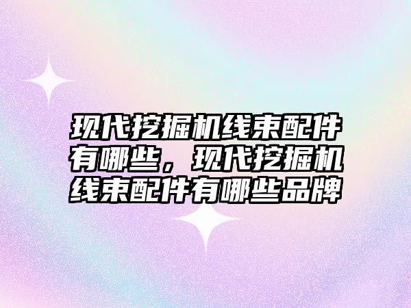 現(xiàn)代挖掘機線束配件有哪些，現(xiàn)代挖掘機線束配件有哪些品牌