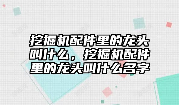 挖掘機配件里的龍頭叫什么，挖掘機配件里的龍頭叫什么名字